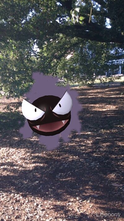 [PokeCommunity.com] Weekly Quest #3: Pokémon Photobomb!