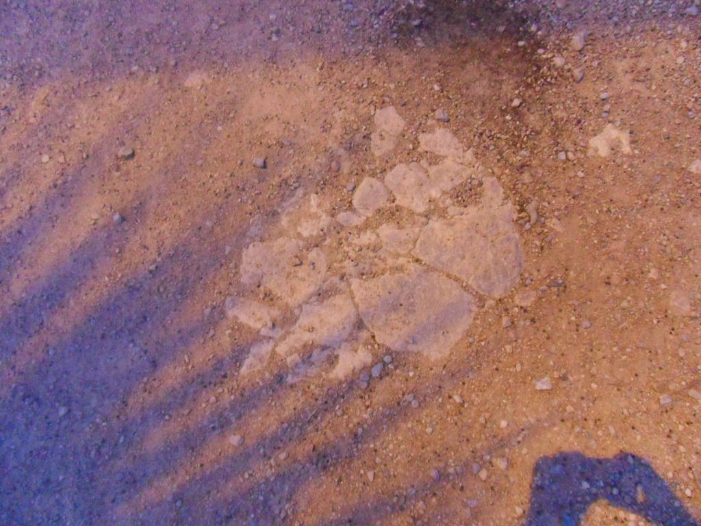 photo SDC12116_zpskyotnqxe.jpg