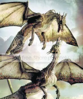 dragons Pictures, Images and Photos