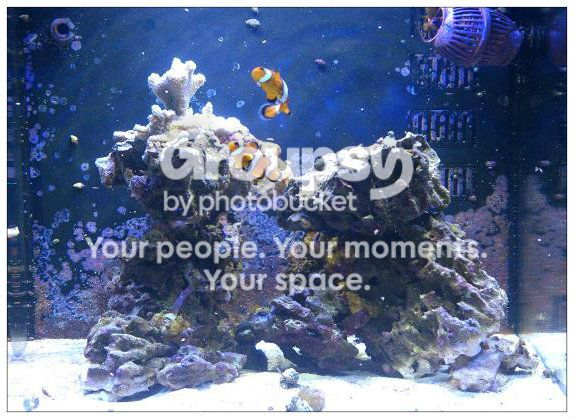 [TodoMarino.com] AmonReef