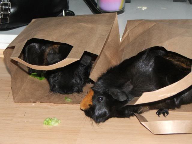 DSCF2547.jpg