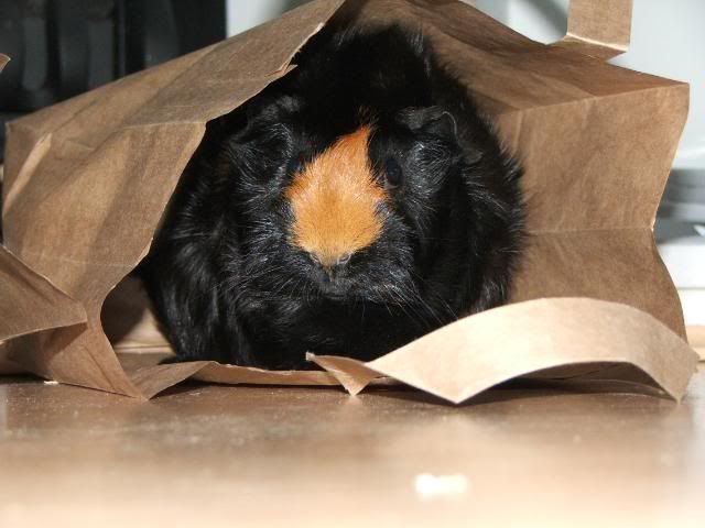 DSCF2554.jpg
