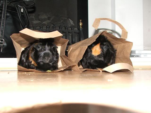 DSCF2555.jpg