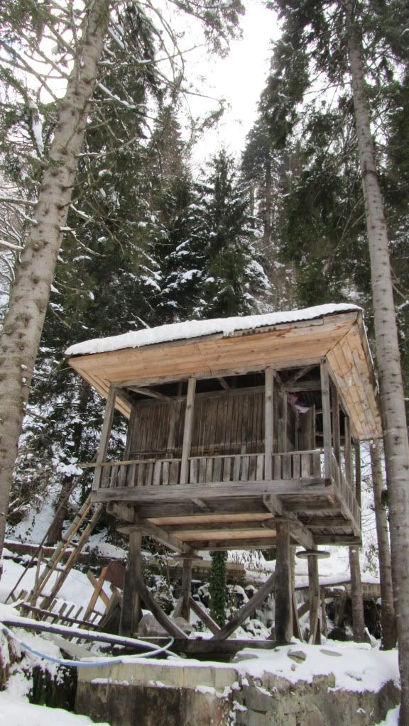 Https Www Goway Com Travel Information Europe Sweden Nature And Wildlife Https Www Goway Com Travel Information Europe Sweden Nature And Wildlife