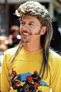 joe_dirt.jpg