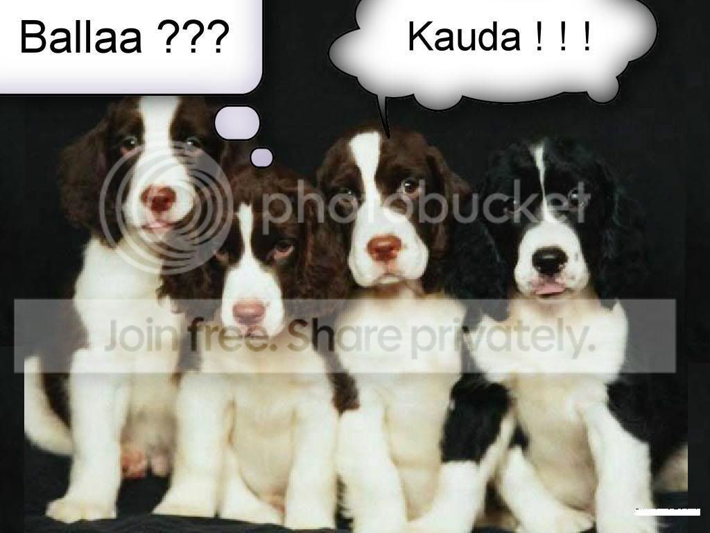 BallaaKauda.jpg
