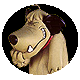 avatar38026_10.gif